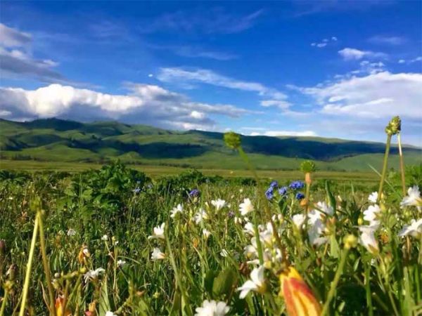 邂逅伊犁：喀拉峻、昭蘇夏塔雪山草原夢(mèng)幻之旅