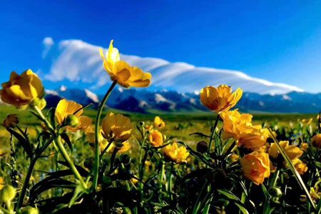 行攝伊犁：喀拉峻、天鵝湖、沙漠胡楊深度9日