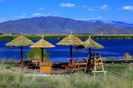 金秋攝影：喀納斯、禾木、白哈巴、木壘胡楊、185團白沙湖、可可托海10日